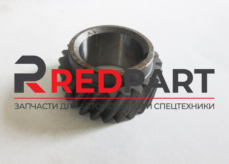 Шестерня коленвала 614020038/W010500791/SP101923/4110000556178